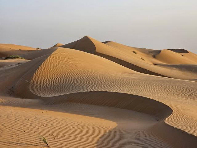 <p>Omán - duny pouště Wahiba Sands</p>