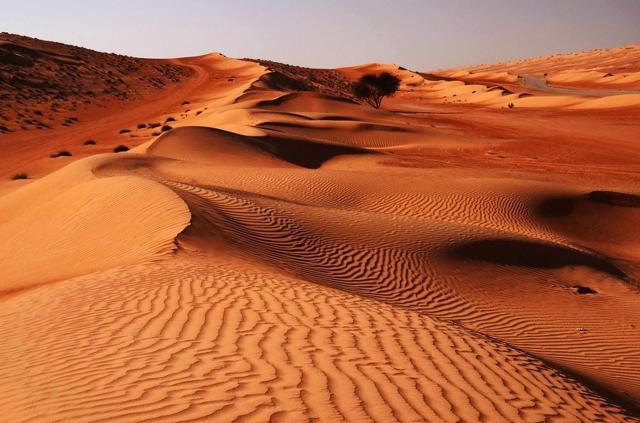 <p>Omán - duny pouště Wahiba Sands</p>