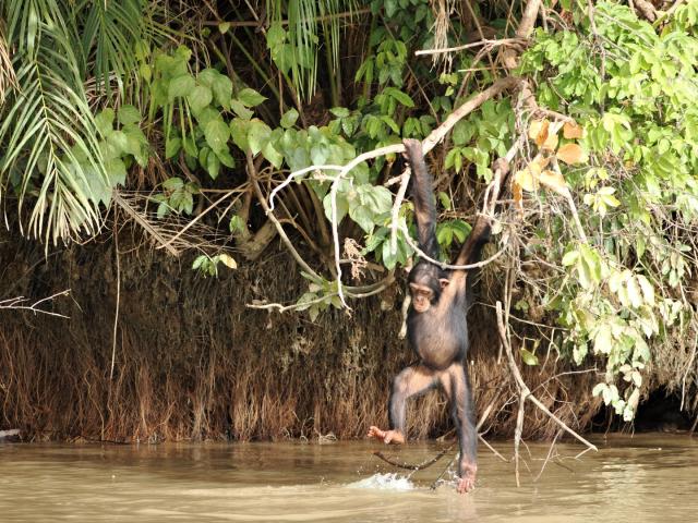 Senegal - Gambie