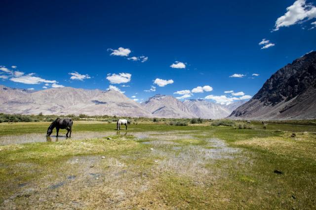 Trekový Ladakh