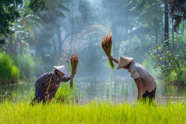 Poznávací zájezd Vietnam a Kambodža