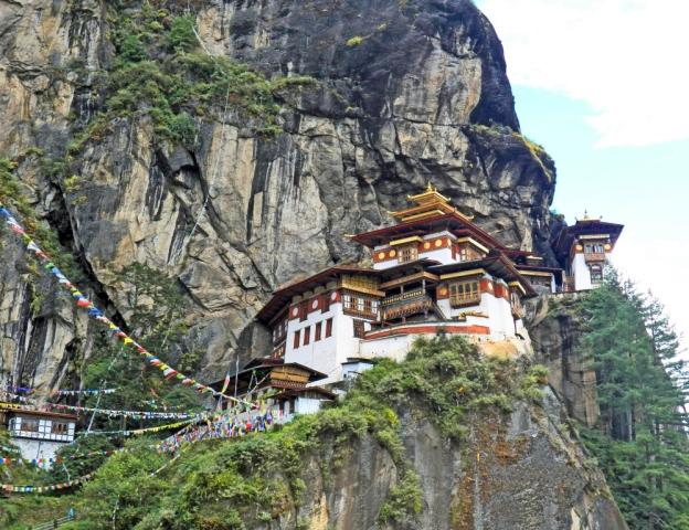 Paro_dreamstime_xl_46093417.jpg