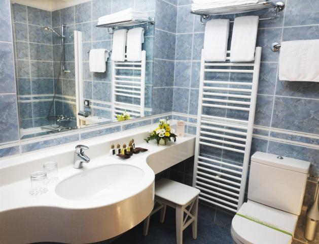 Bathroom standard room.jpg