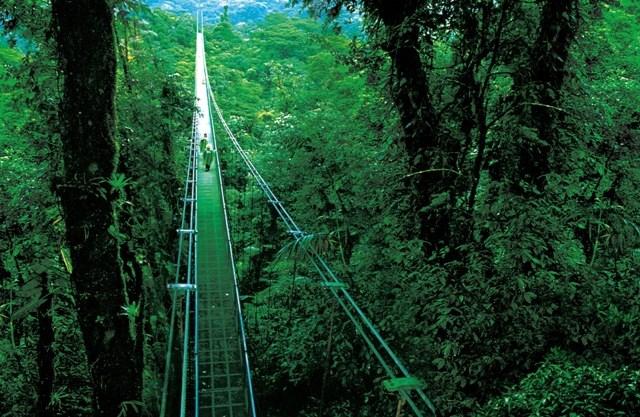 hanging_bridges_03.jpg