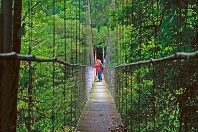 hanging_bridges_04.jpg