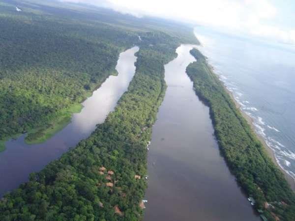 Tortuguero 2.jpg