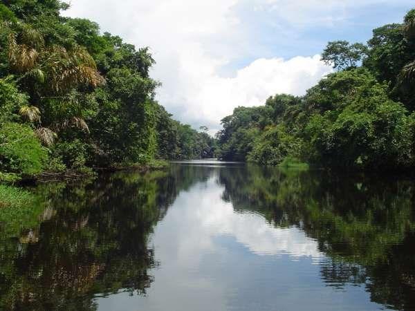 Tortuguero 4.jpg