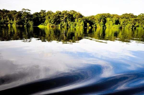 Tortuguero 6.jpg