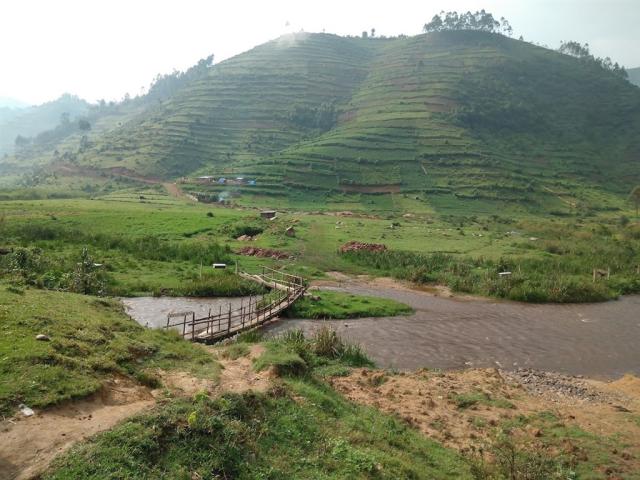 bwindi.jpg