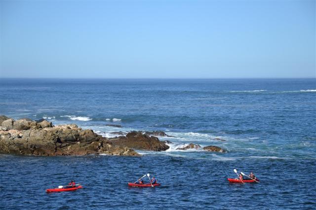 DSC_1237.JPG