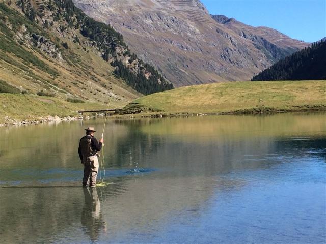 Vermuntsee fisch.jpg
