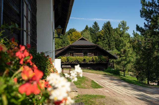 LowRes Naturel Hoteldorf Schönleitn (c) carolin thiersch-26-DSC