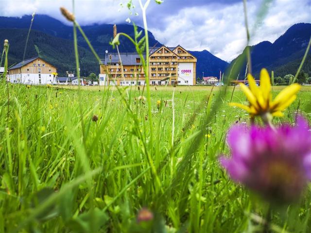COOEE_Alpin_Dachstein_Sommer_2018-124759.jpg