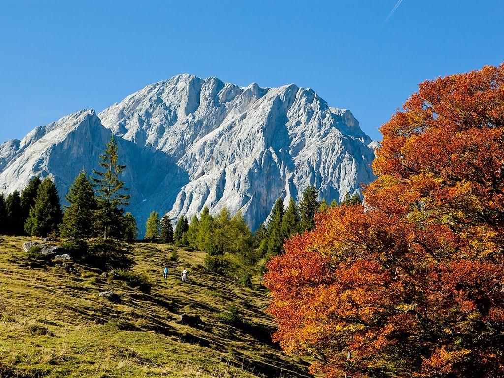 bunter_Herbst.jpg