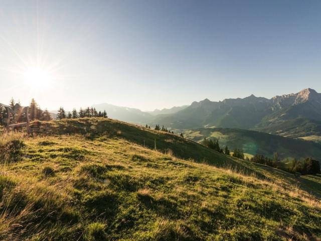 A16_7203_web.jpg
