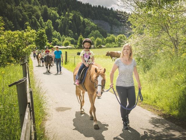 BauernhofhotelKinderhotelFamilienurlaubFamilotelFurtherwirtKirc