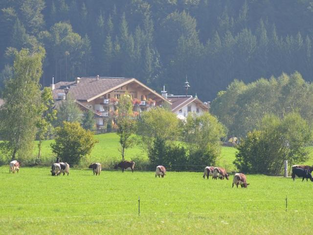 DSC_3952.jpg