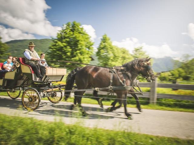 KutschfahrtUrlaubAmBauernhofFamilienUrlaubKinderhotelReiterhote