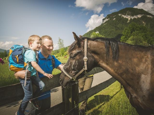 ReitferienWanderferienPferdeurlaubFamilienhotelFurtherwirtStJoh