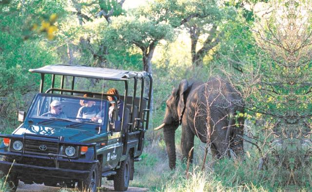 Game Drive Kruger1.jpg