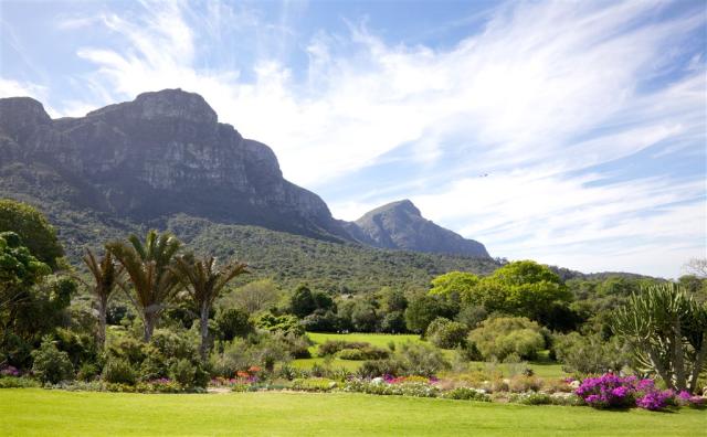dreamstime_xxl_32476426_kirstenbosch.jpg