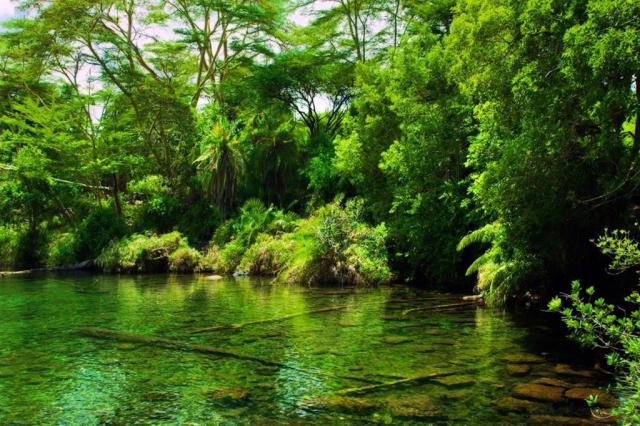 Keňa_Tsavo West_ springs.jpg