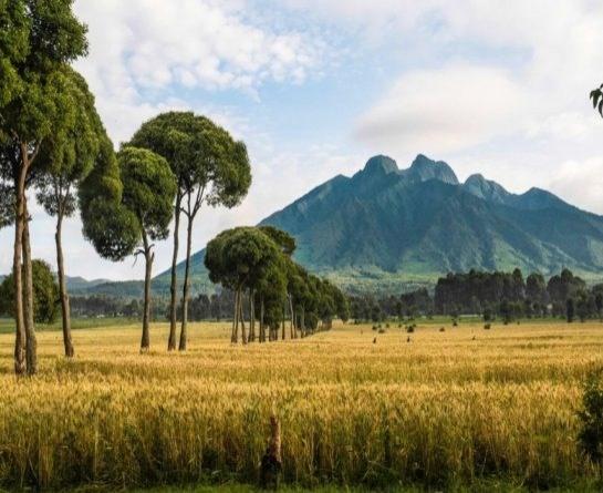 volcanoes-national-park-goexplore-778x446x116x0x545x446x1678796