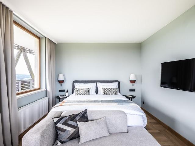 2304dd_falkensteiner-bad-leonfelden-rooms-deluxe-8.jpg