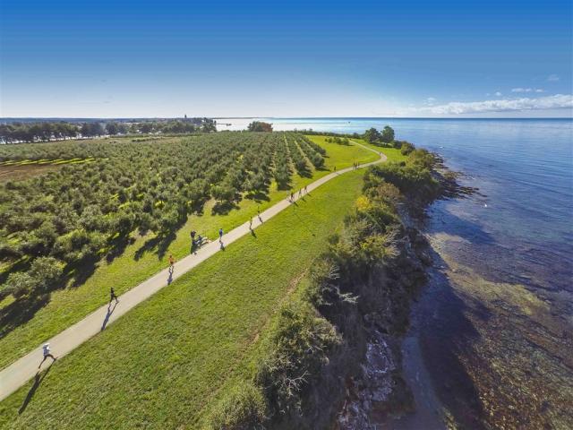 Novigrad_Run_2016_232.JPG
