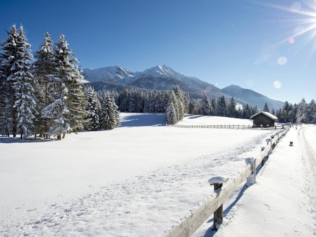 _DSC0703.jpg