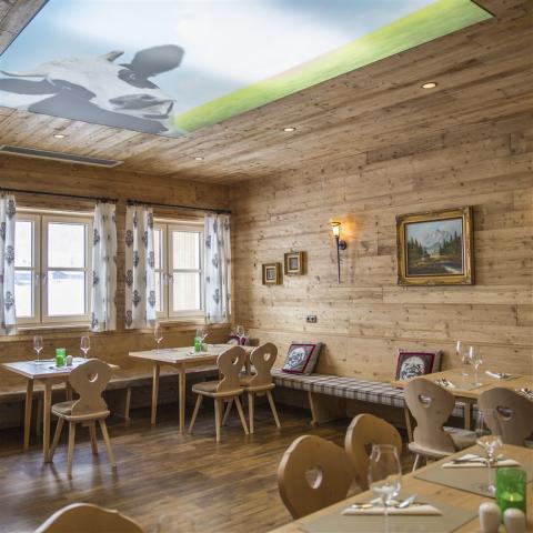 Cooee-Alpin_Dachstein-7478.jpg