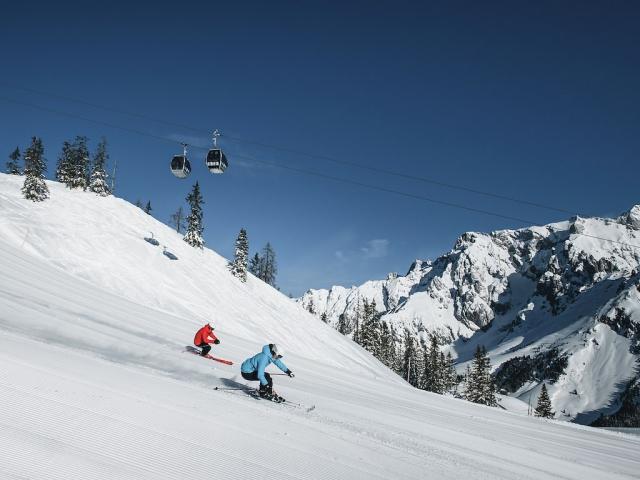 Skifahren_2018-19_Schartner (4).jpg