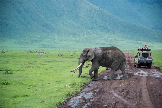 Tanzanie_Velká příkopová propadlina_Ngorongoro.jpg