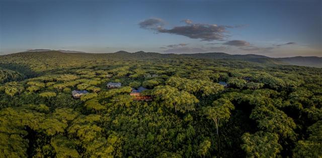 Tanzanie_Ngorongoro_Lions Paw_Aerial View.jpg