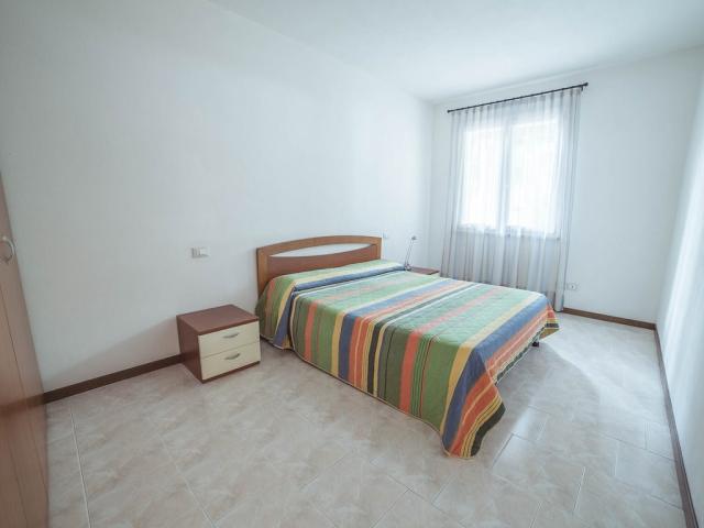 VRN-93884-018 Bilo-Trilo.jpg