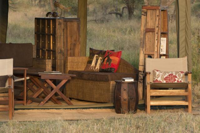 Tanzanie_Serengeti_Nyikani Migration Camp South Serengeti_bush 