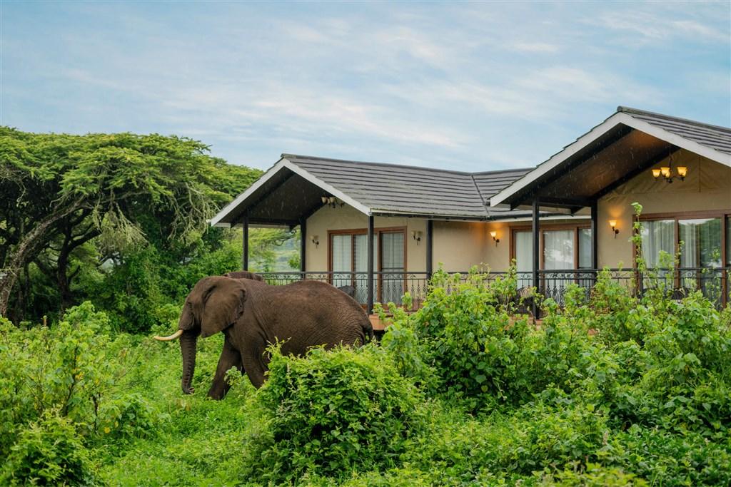 Tanzanie_Ngorongoro_Lions Paw_Exterior of Family Suite.jpg