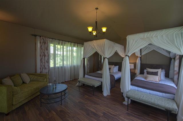 Tanzanie_Ngorongoro_Lions Paw_Executive Room Twin.jpg