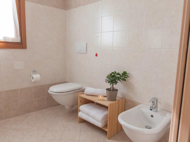 STI-B00198- (11).jpg