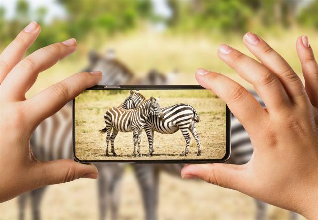 Keňa_Tsavo_Family safari.jpg