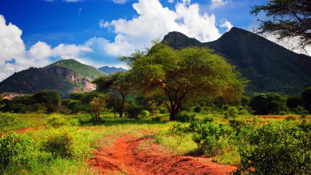 dreamstime_xxl_29601526_tsavo west1.jpg