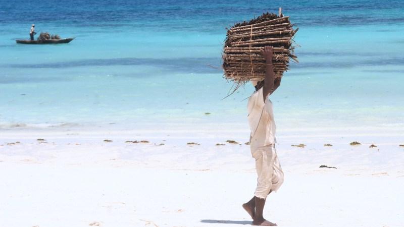 Zanzibar_ranní pláž.jpg