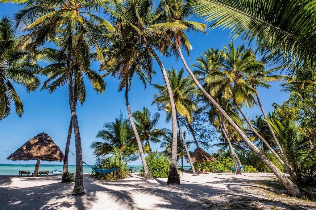 Tanzanie_Zanzibar_Pongwe Beach Hotel_zahrada u pláže.jpg