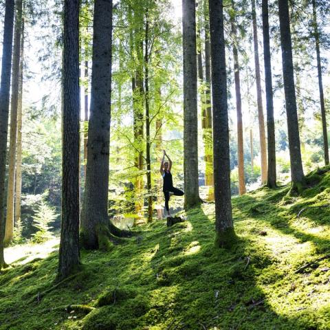 29-print-waldbaden-mtggert-perauercarchivmillstaetterseetourism