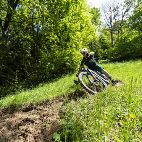 492-9914-print-Emotions-Millstaettersee-MTGgert-perauercarchivm