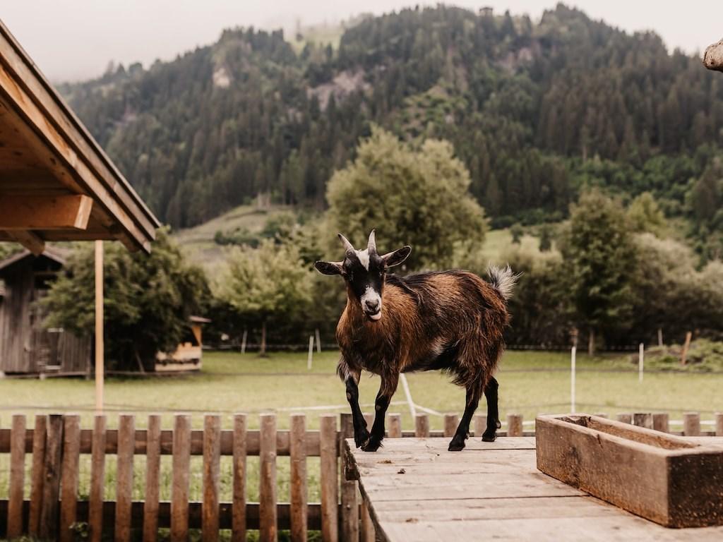 30-07-19_SelinaFlaschPhotography-12.jpg