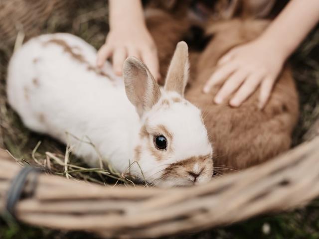 30-07-19_SelinaFlaschPhotography-70.jpg