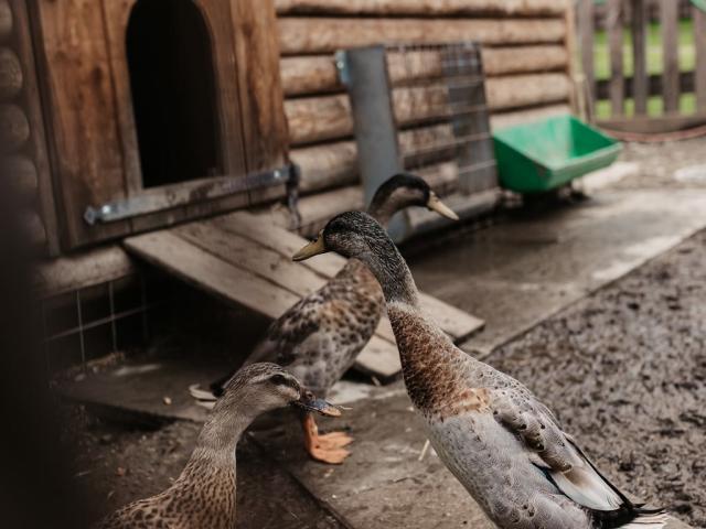 30-07-19_SelinaFlaschPhotography-82.jpg