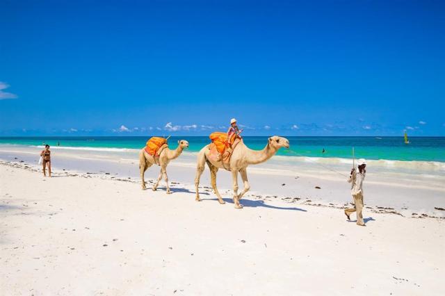 Diani-Sea-Lodge-17.jpg