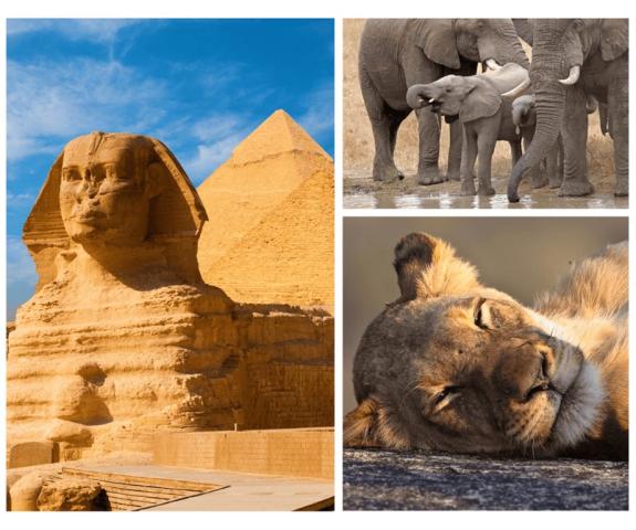 Egypt-Keňa.png